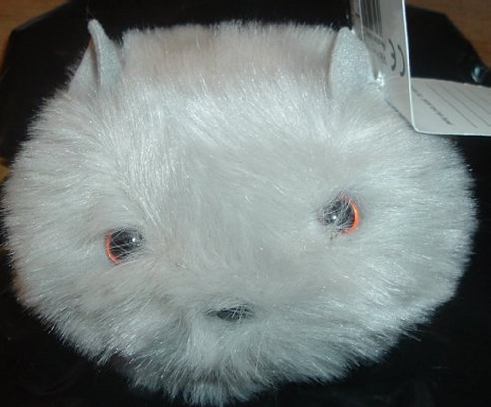 haggis cuddly toy