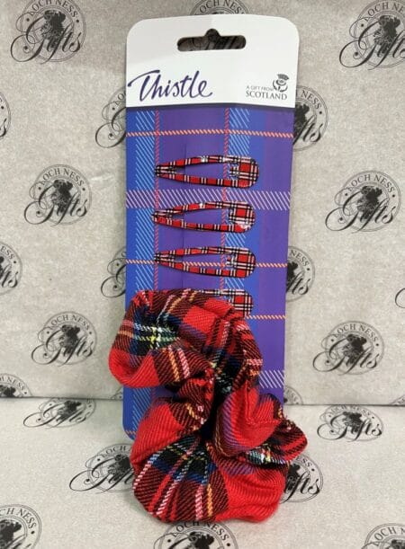 Hair Clips and Red Tartan Scrunchie