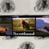 Magnet - Triple Photograph Highland Cows