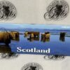 Magnet - Photograph Highland Cows In The Sea