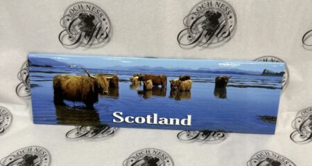 Magnet - Photograph Highland Cows In The Sea