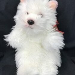 puppet westie Hand Puppet - Westie
