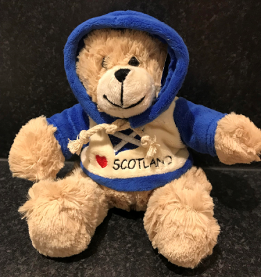bear teddy toy hoodie soft scotland