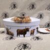 Vanilla Fudge Oval Tin - Highland Cow