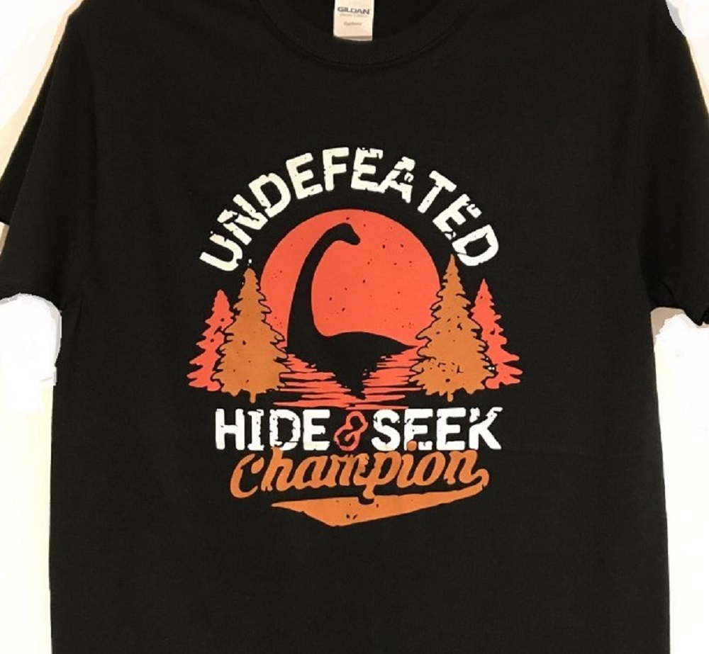 hide and seek shirt