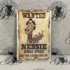 Magnet - Wanted Nessie
