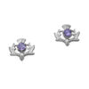 0000_CE8-AMY Thistle Collection - Thistle Silver Earrings Amethyst CE8
