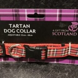 3A41CAFE-204B-496D-B229-E8A0B10999E5-e1541764056309 Pets - Tartan Dog Collar