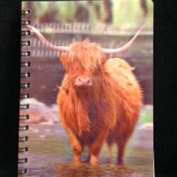 3D Image Notebook - Highland Cow In Water