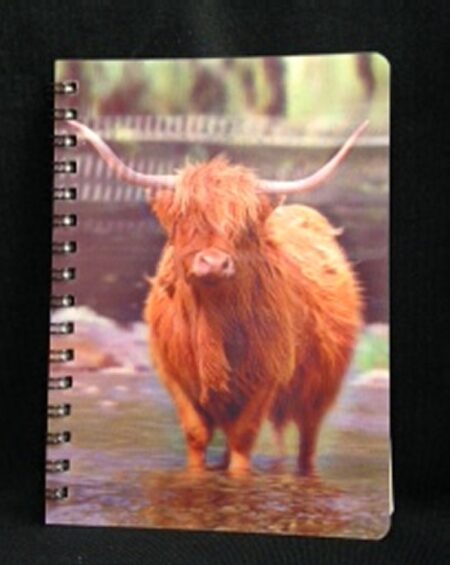 3D Image Notebook - Highland Cow In Water