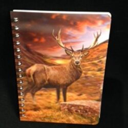 3D Image Notebook - Monarch Of The Glen
