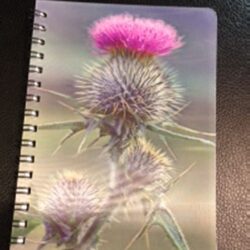 3D Image Notebook - Scottish Spear Thistle