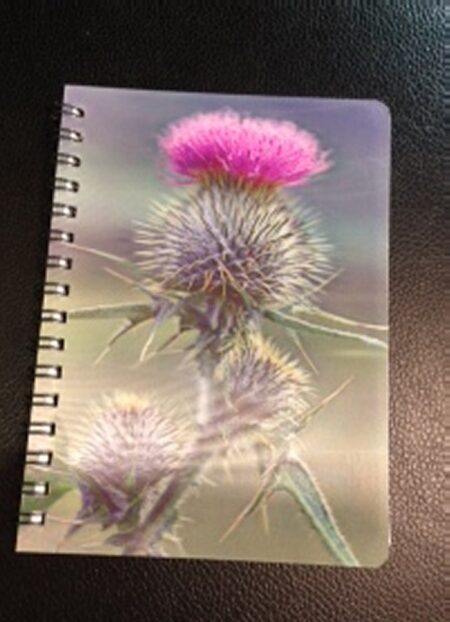 3D Image Notebook - Scottish Spear Thistle