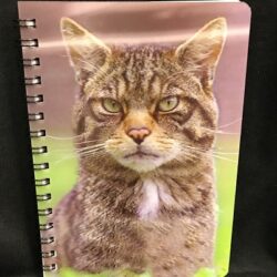 3D Image Notebook - Scottish Wild Cat