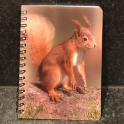 3D Image Notebook - Red Squirrel
