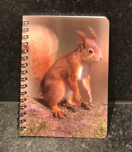 3D Image Notebook - Red Squirrel