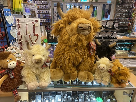 giant highland cow teddy