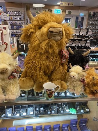 Soft Toy Highland Cow - Donald the Highland Cow