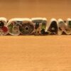 Magnet - Scotland Letters