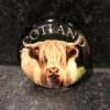 Magnet - Round Glass Highland Cow