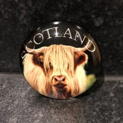 Magnet-glass-cow Magnet - Round Glass Highland Cow