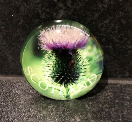 Magnet - Round Glass Scottish Thistle