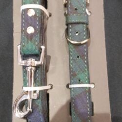 Pets-dog-lead-black-watch-medium Pets - Tartan Dog Collar and Lead Set Medium Black Watch