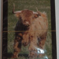 Playing Cards - Highland Cow