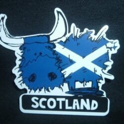 Sticker-highland-cow-saltire Sticker - Highland Cow Saltire