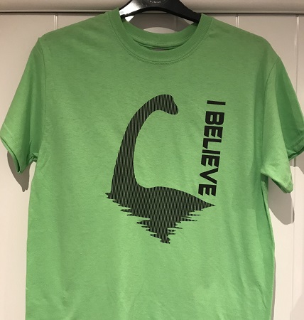 Adult T-Shirt I Believe (Green)