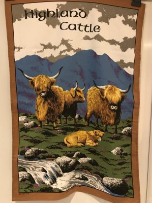 Kitchen - Tea Towel Highland Cows