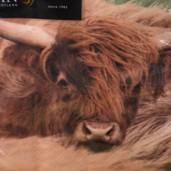cow-napkin-e1541962222264 Napkins - Highland Cow Photo