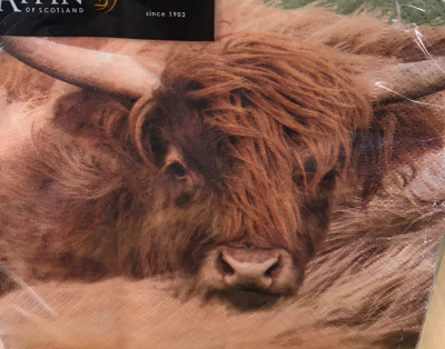 Napkins - Highland Cow Photo