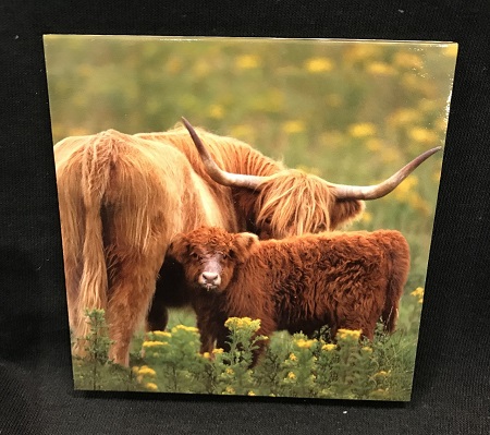 Notebook Magnetic - Highland Cow and Calf