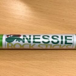 Rock - Nessie Rock Stick
