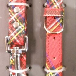 pet-dog-lead-and-collar-medium Pets - Tartan Dog Collar and Lead Set Medium Royal Stewart