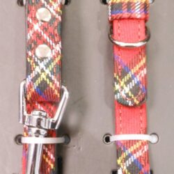 pet-dog-lead-and-collar-small Pets - Tartan Dog Collar and Lead Set Small Royal Stewart