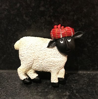 Magnet - Scottish Blackface Sheep
