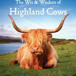 wit-wisdom-of-highland-cows Book - The Wit & Wisdom of Highland Cows