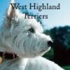 wit-wisdom-of-west-highland-terriers Book - The Wit & Wisdom of West Highland Terriers