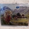 Magnet - Highland Cow Scotland