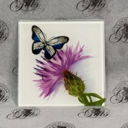 Coaster - Glass Thistle and Saltire Butterfly Coaster - Glass Coaster Thistle