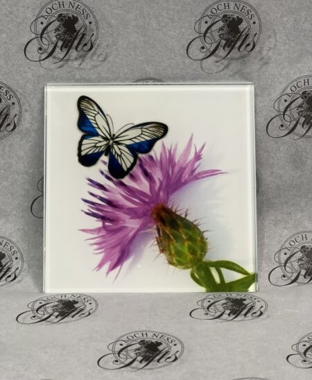 Coaster - Glass Coaster Thistle