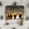 Coaster - Highland Cows
