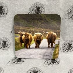 Coaster - Highland Cows Coaster - Highland Cows