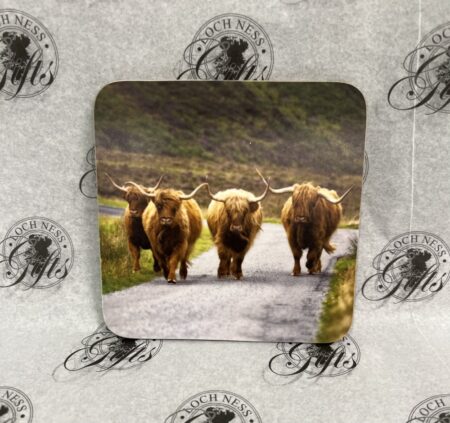 Coaster - Highland Cows