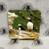Coaster - Puffins