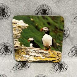 Coaster - Puffins Coaster - Puffins