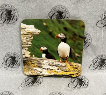 Coaster - Puffins
