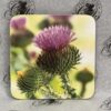Coaster - Scottish Thistle